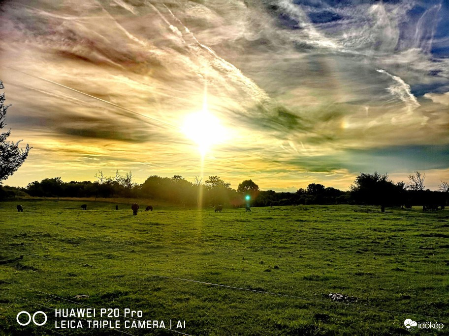 Észlelési fényképek