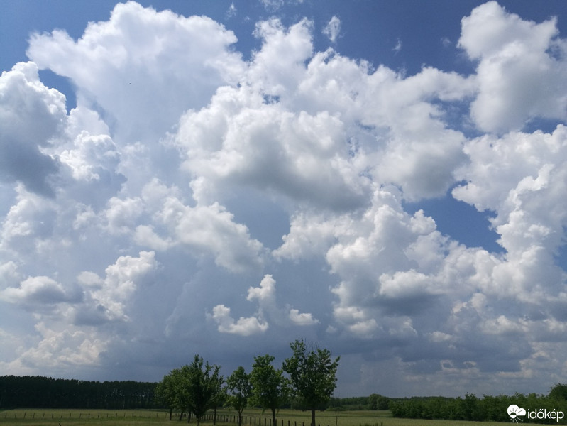 Észlelési fényképek