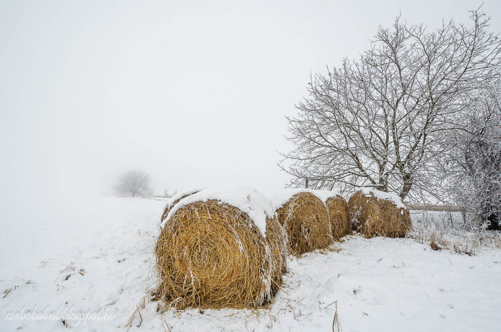 Tél az Alföldön
