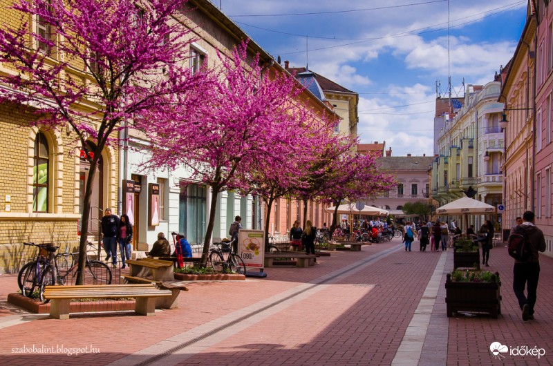 Napsütéses tavaszi életkép Szegedről. :)