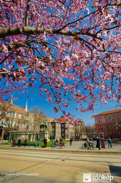 Szegedi tavasz