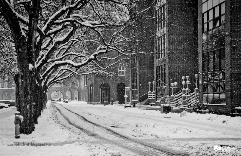 A hó lepte Dóm tér