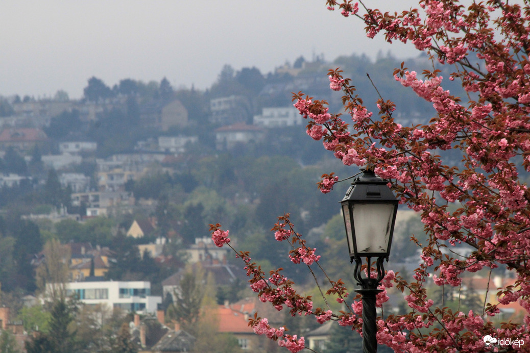 Budapest, Tóth Árpád sétányon
