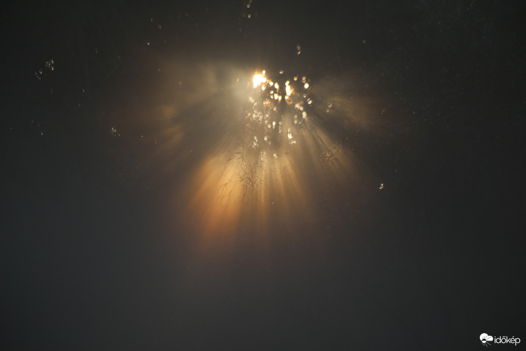 Napkelte _Merzse-mocsár