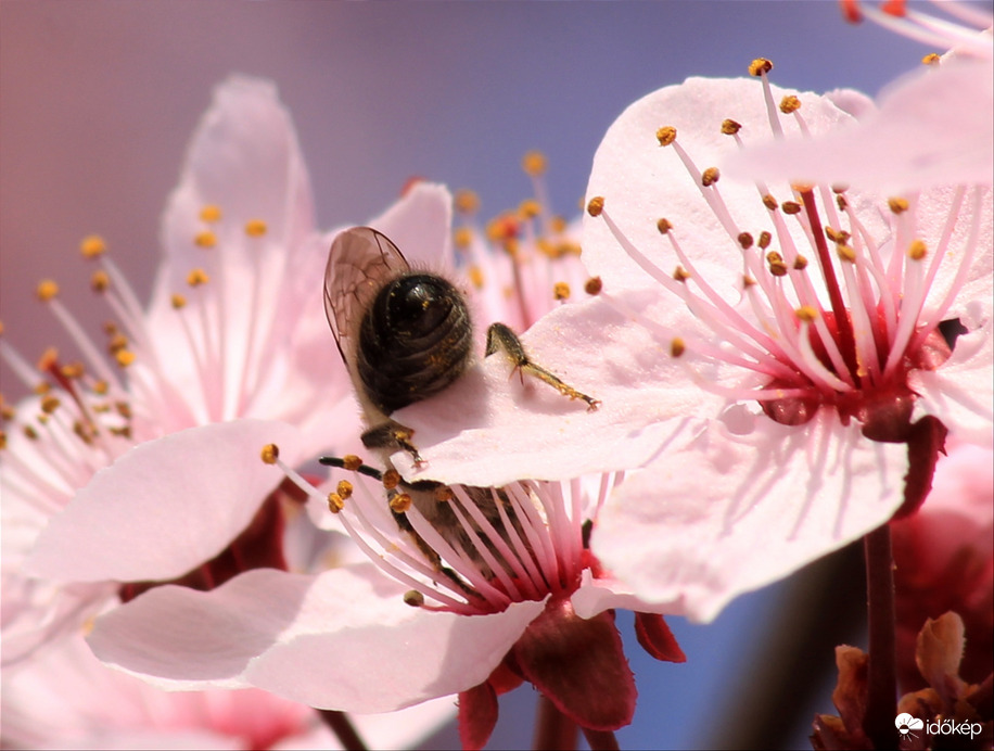 Fejjel lefelé "nagy munkában" :)