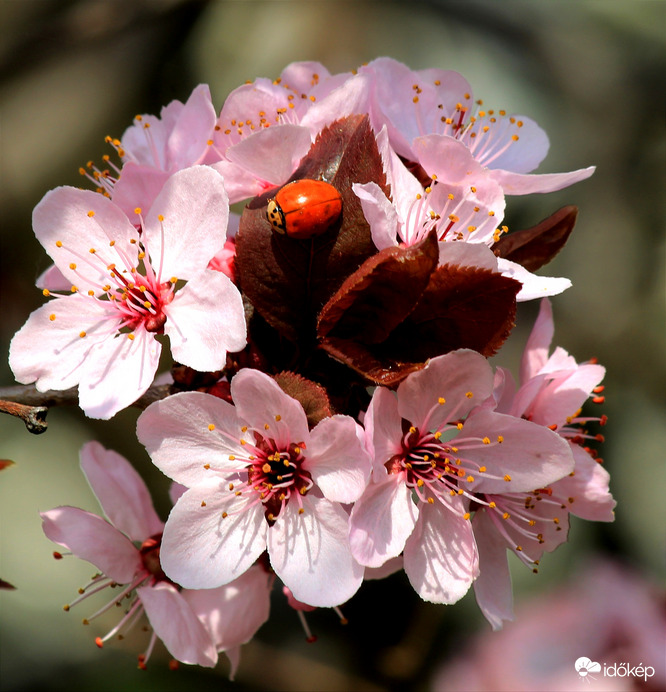 Fejjel lefelé "nagy munkában" :)