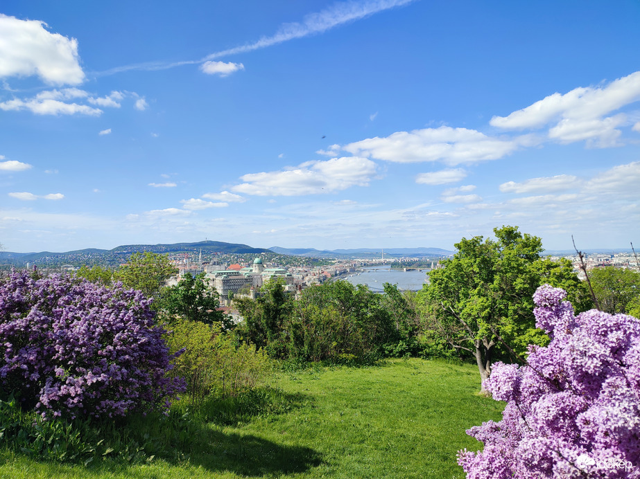 Kilátás a Gellért-hegyről 