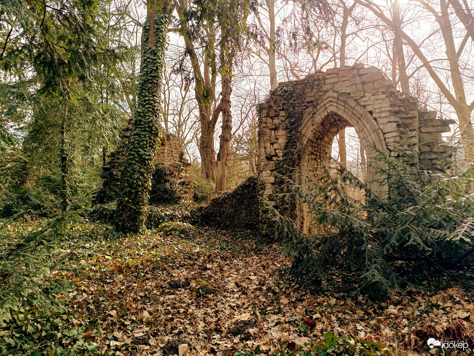 Vácrátóti Arborétum