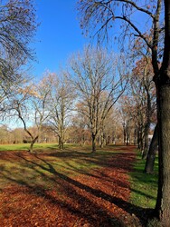 Hajógyári szigeten Óbuda