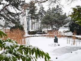 Margitsziget - Japán kert 