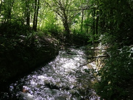 Vadregényes Garadna-patak