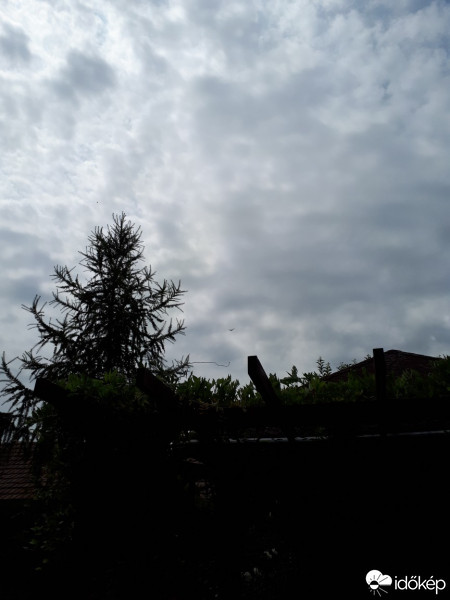 Észlelési fényképek