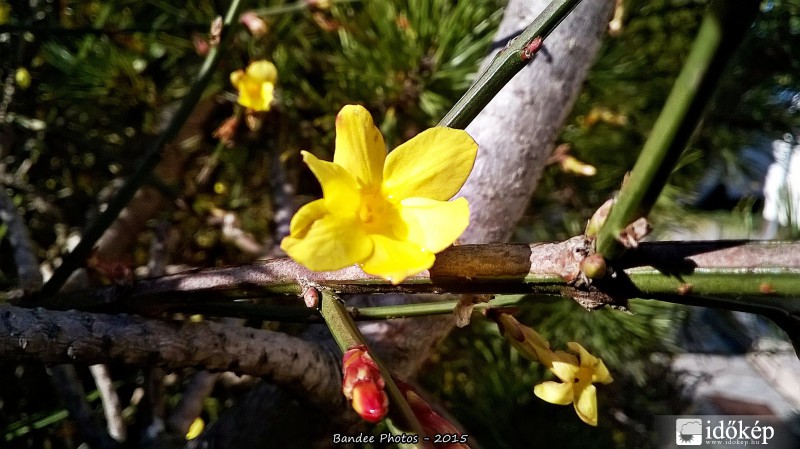 Balatonboglár - Itt a Tavasz2