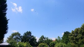 Bad Füssing