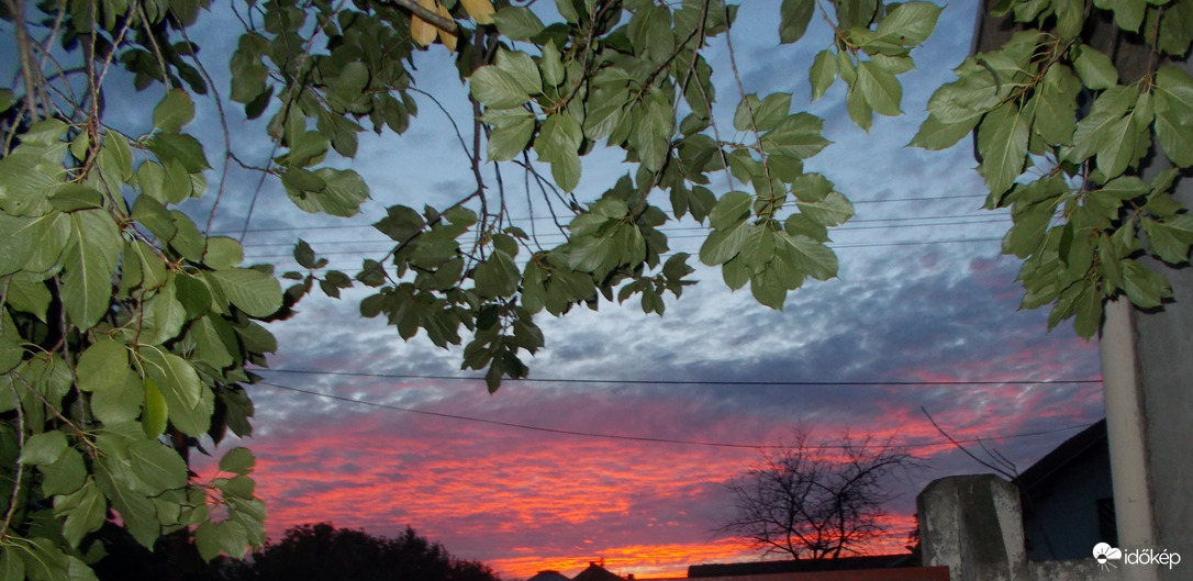 Észlelési fényképek