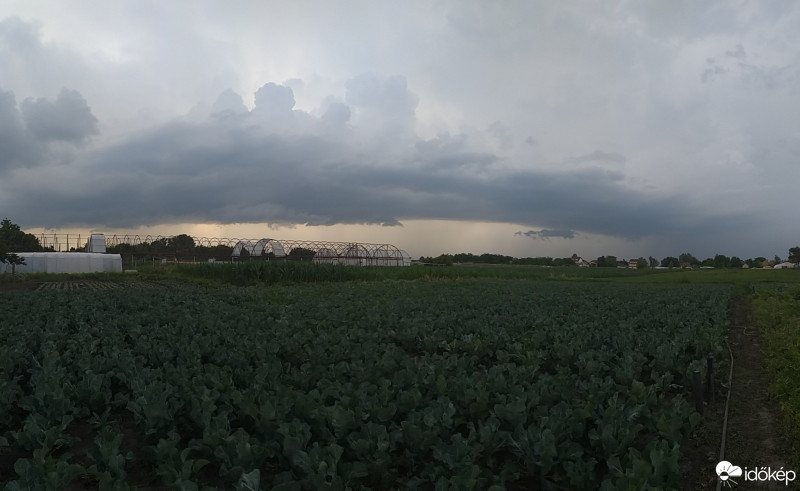 Észlelési fényképek