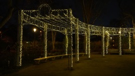 Városliget Fények kertje