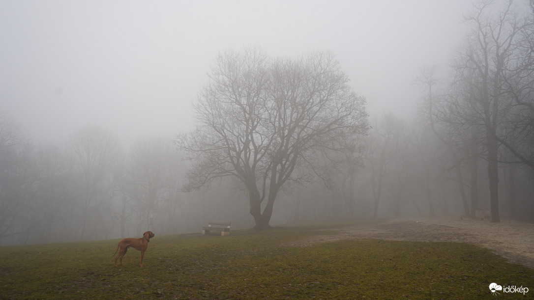 Vágni lehetett a ködöt :) 