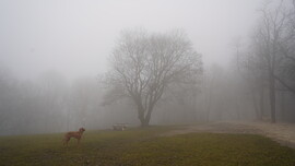 Vágni lehetett a ködöt :) 