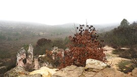 Ködös, borús idő