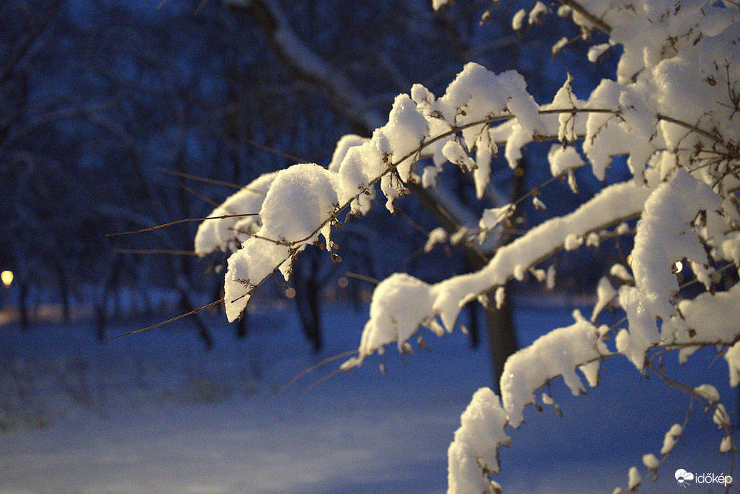 Végre jött egy hatalmas adag hó :)))