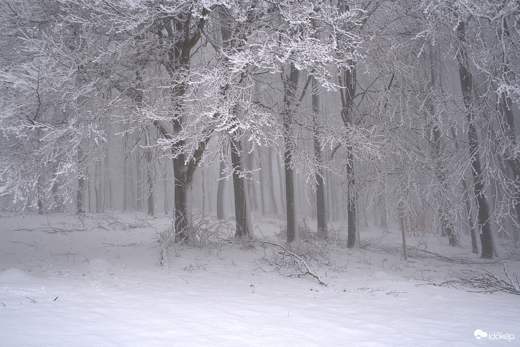 A hegyekben még van hó :)