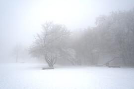 Vágni lehetett a ködöt :)