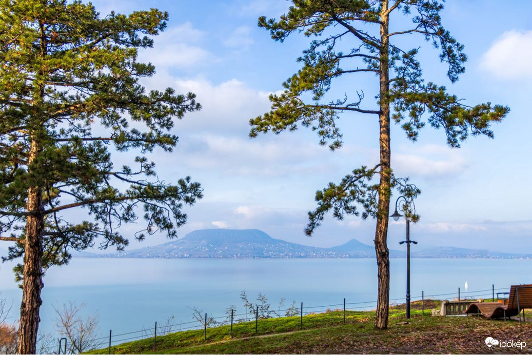 bankutileticia fotója