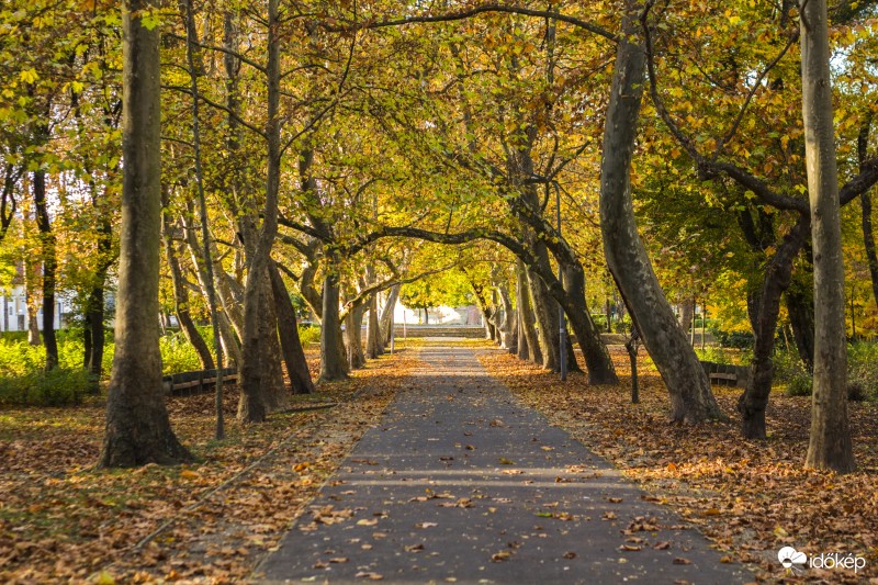 Az ősz színei...