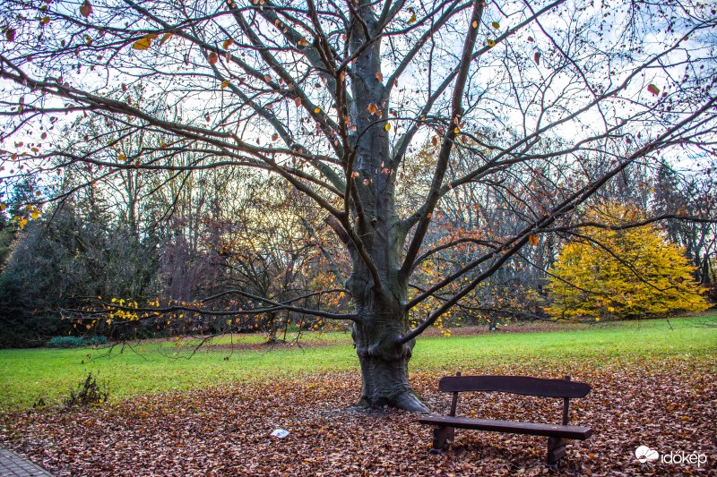 Szarvasi Arborétum ősszel :)