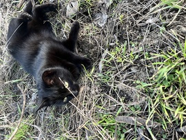 Vége a játéknak, megláttam egy kismadarat :)