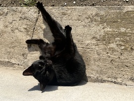 Élvezem a napsütést :) 