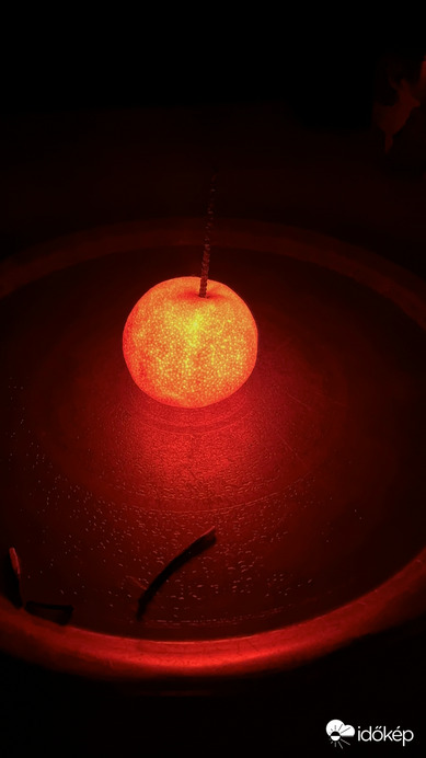 Csillagszórós mandarin