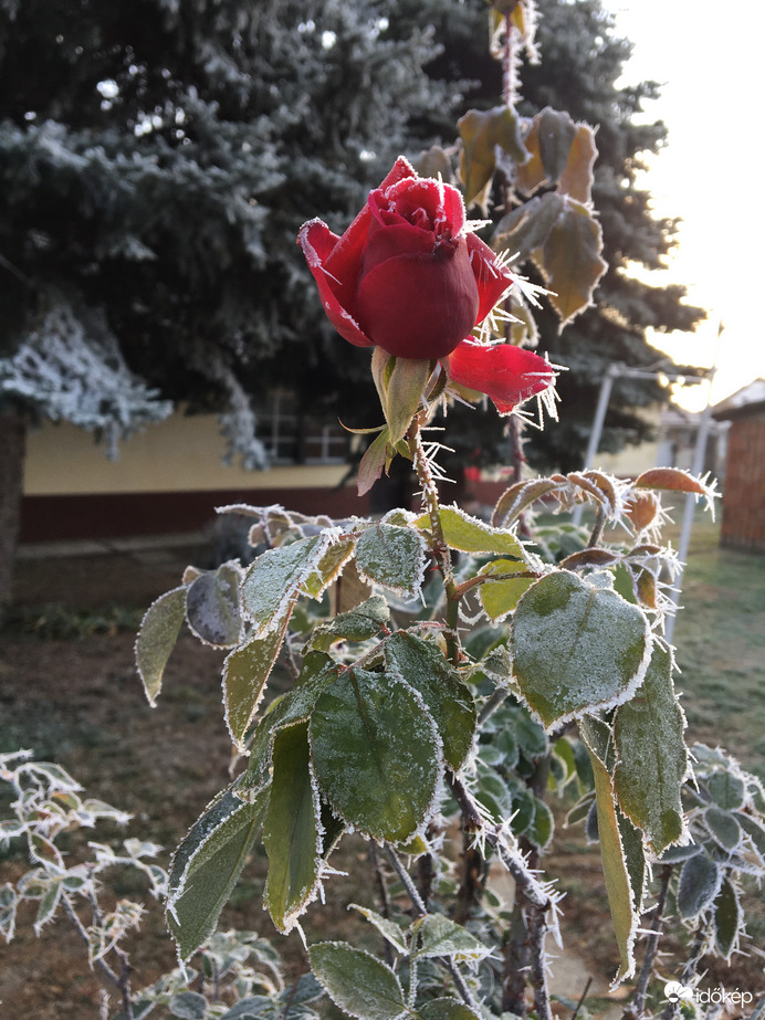 -5fokos reggelt követően