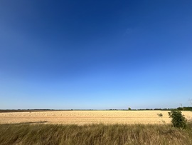 “Ég a napmelegtől a kopár szík sarja”