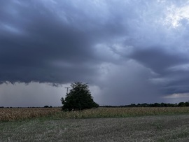 barlabasheni fotója