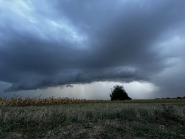 barlabasheni fotója