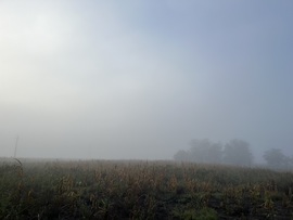 barlabasheni fotója