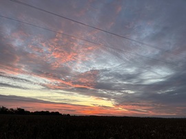 barlabasheni fotója