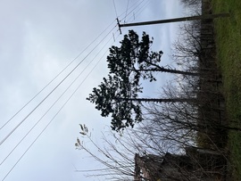 barlabasheni fotója