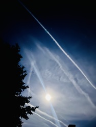 barlabasheni fotója