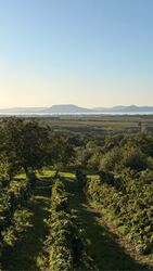 Balatonlelle
