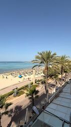 Son San Juan