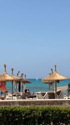 Son San Juan