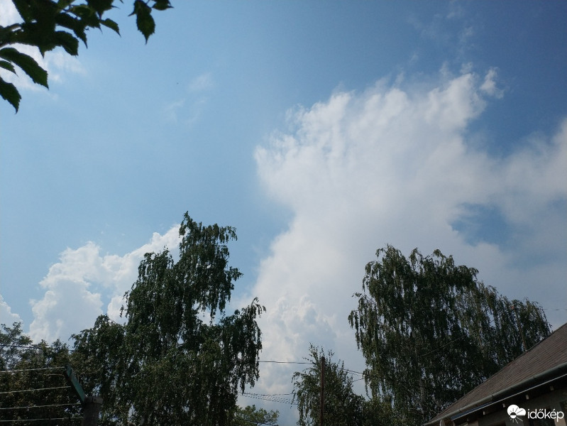 Észlelési fényképek