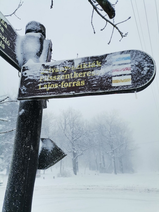 Észlelési fényképek