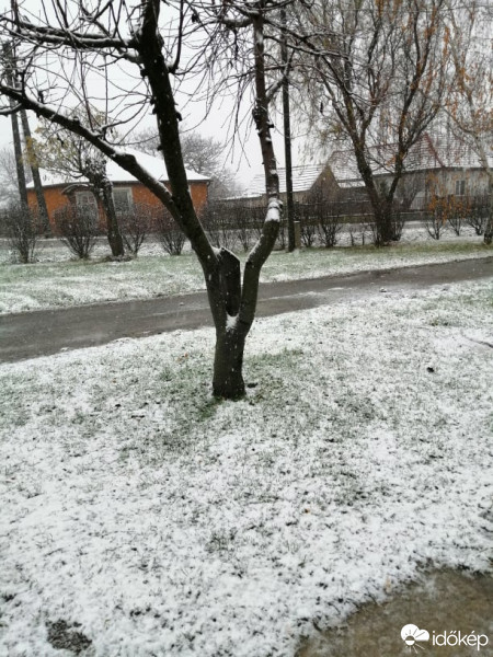 Észlelési fényképek