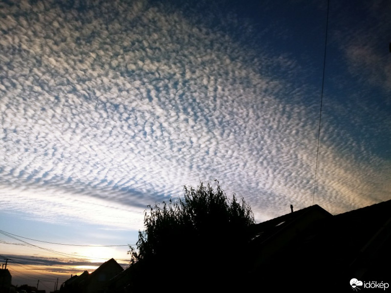 Észlelési fényképek