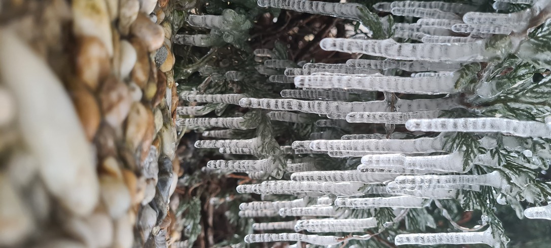 A természet csodája