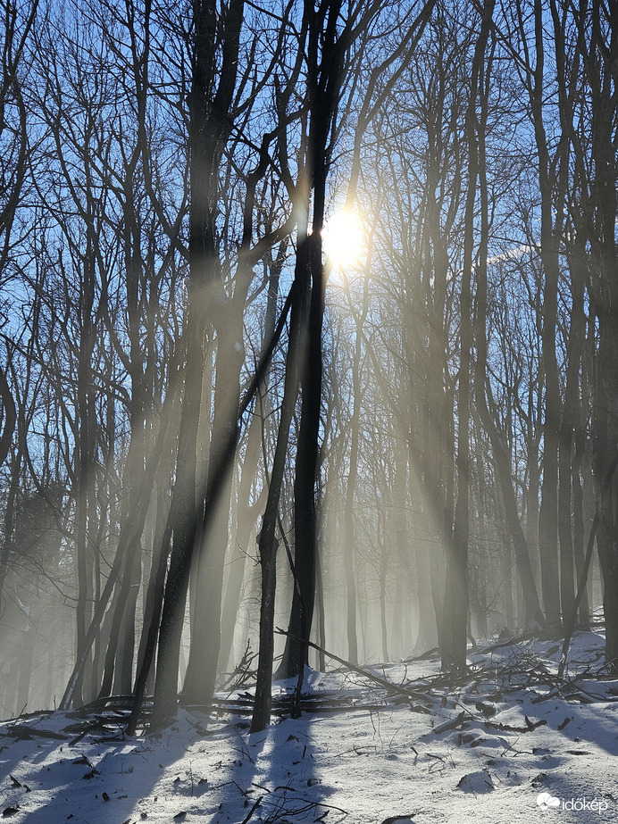 Észlelési fényképek